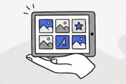 Portfolio Development